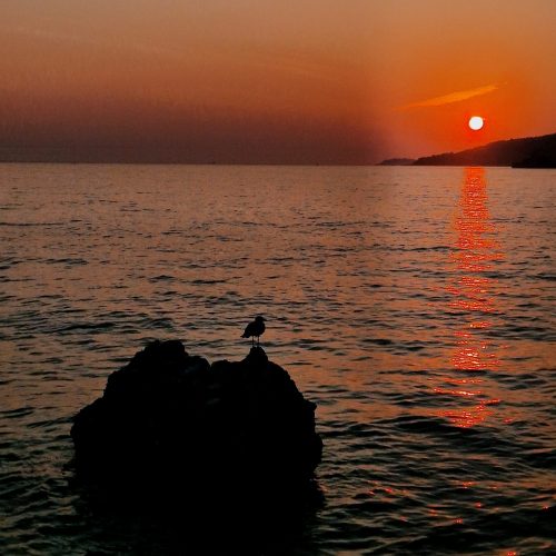 Snaga je ponekad u miru, ne u pokretu.